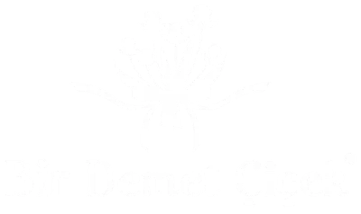 Bir Demet Çiçek